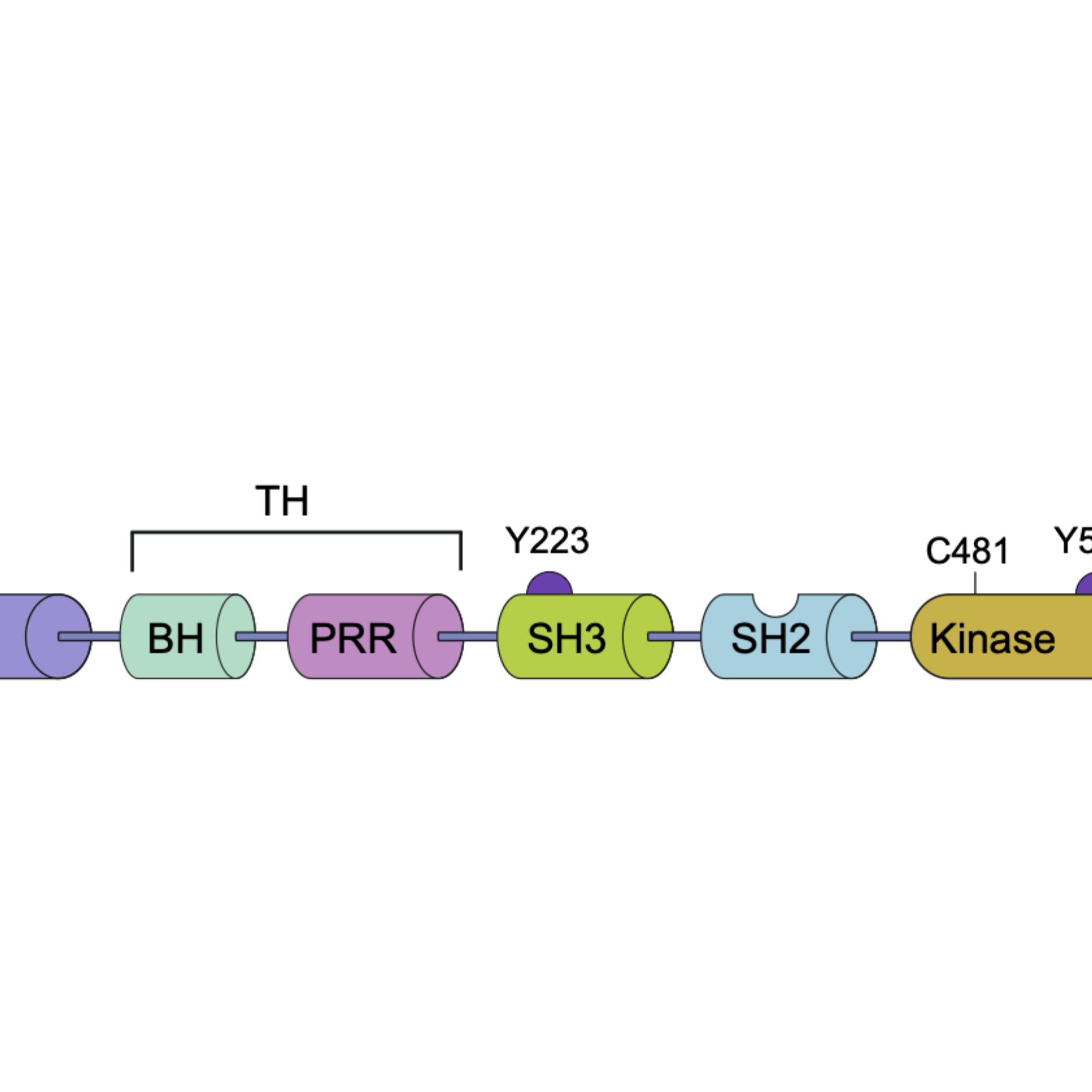 Structure of BTK tyrosine kinase inhibitor